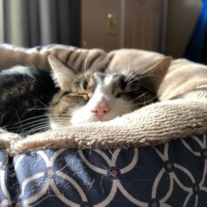 Meet your Posher, Jesse